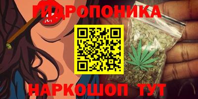 дмт Славгород