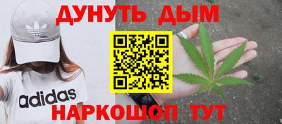 дмт Славгород